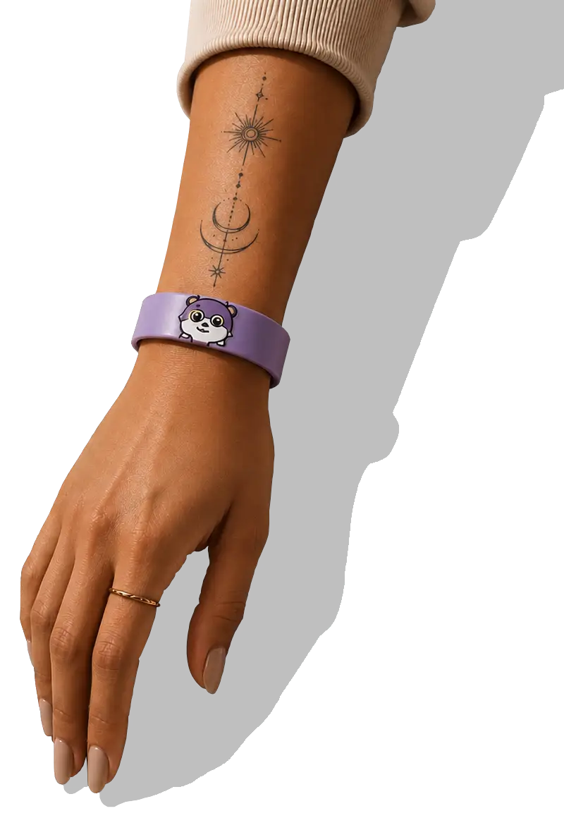 Lucas wearable payment identity